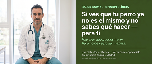 Si ves que tu perro no es el mismo esto es para ti.