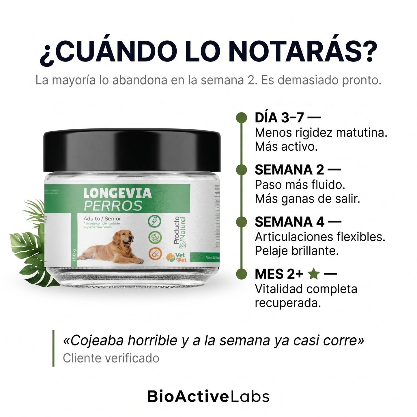 Longevia Perros · Fórmula Antiedad 360°