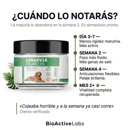 Longevia Perros · Fórmula Antiedad 360°