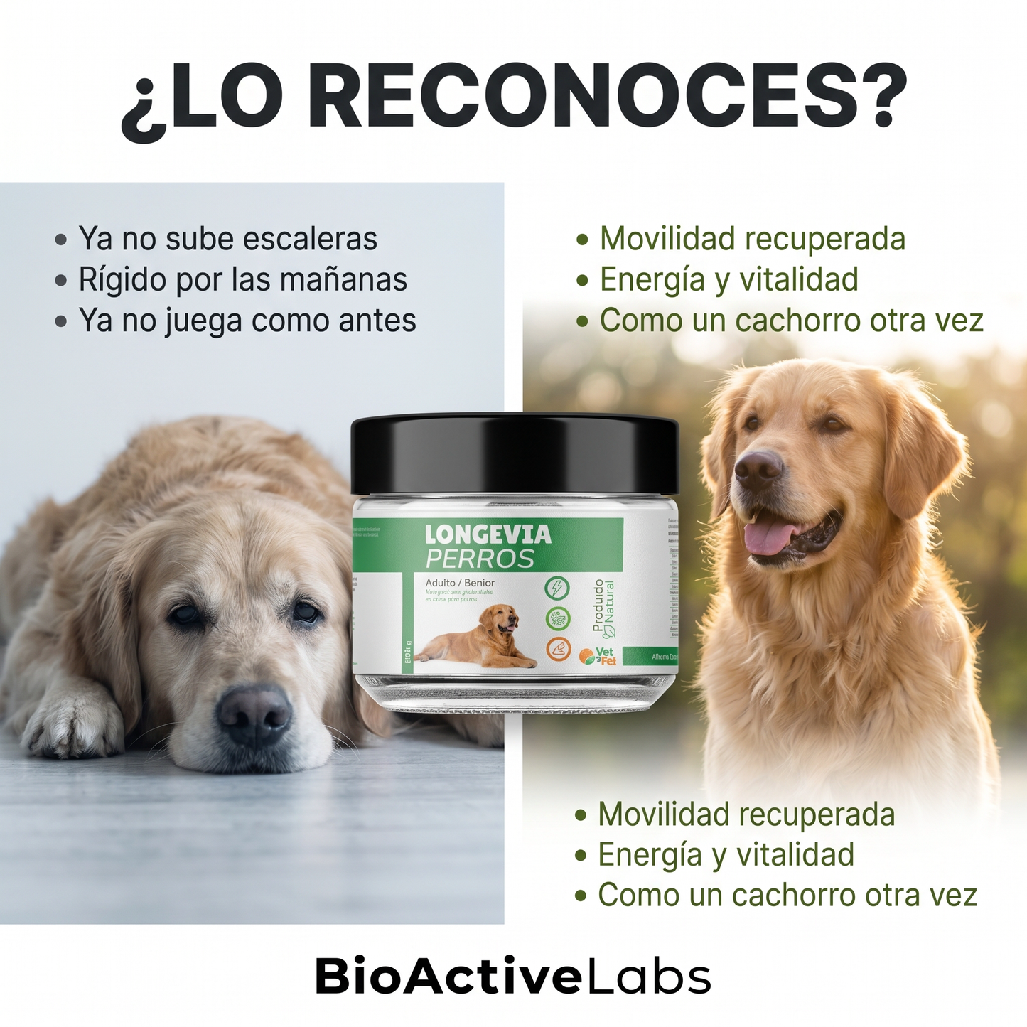 Longevia Perros · Fórmula Antiedad 360°